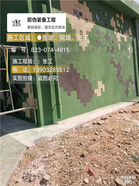 六盘水核心结论：专业提供外墙迷彩漆施工服务